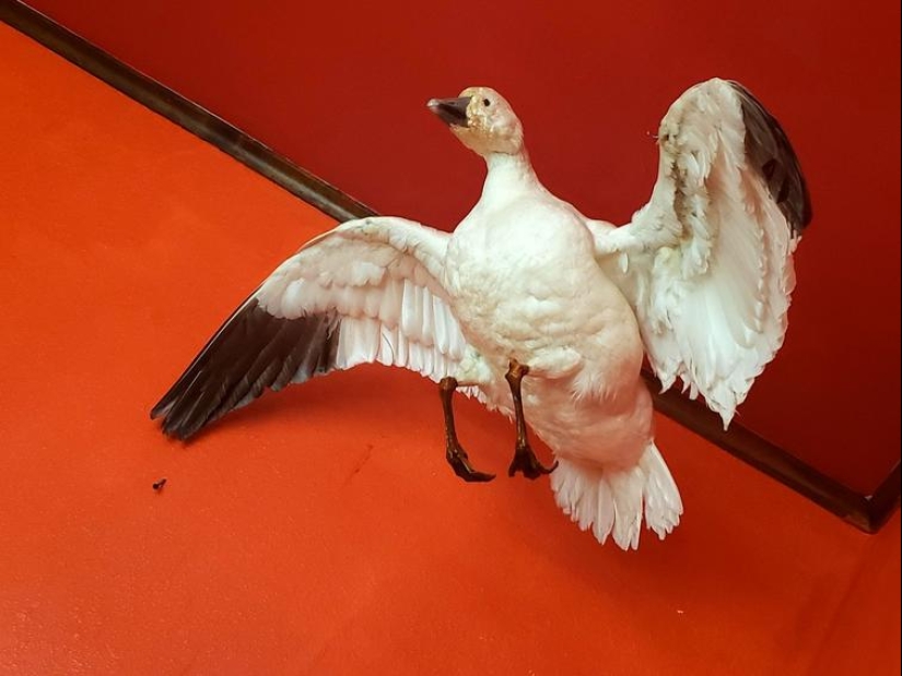 30 las personas que han tenido un mal día, que es poco probable que vaya a peor 30 las personas que han tenido un mal día, que es poco probable que vaya a peor