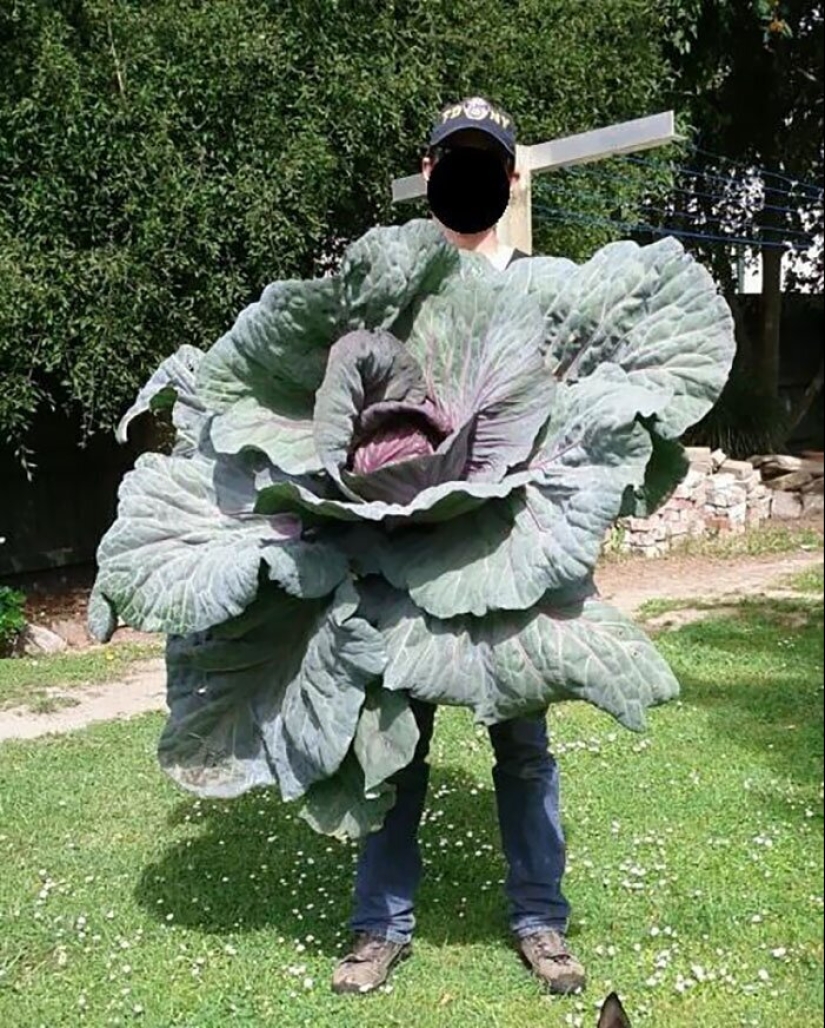 30 lucky people who won the jackpot in the food lottery