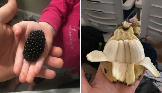 30 lucky people who won the jackpot in the food lottery