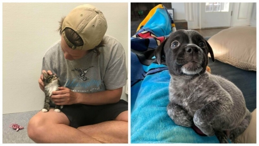 30 Mascotas que recientemente han encontrado un nuevo hogar y amar a los propietarios de 30 Mascotas que recientemente han encontrado un nuevo hogar y amar a los propietarios de