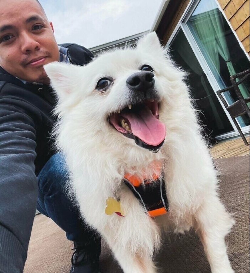 30 Mascotas que recientemente han encontrado un nuevo hogar y amar a los propietarios de 30 Mascotas que recientemente han encontrado un nuevo hogar y amar a los propietarios de