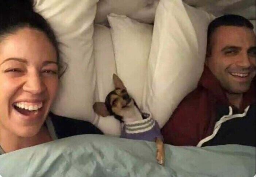 30 Mascotas que recientemente han encontrado un nuevo hogar y amar a los propietarios de 30 Mascotas que recientemente han encontrado un nuevo hogar y amar a los propietarios de