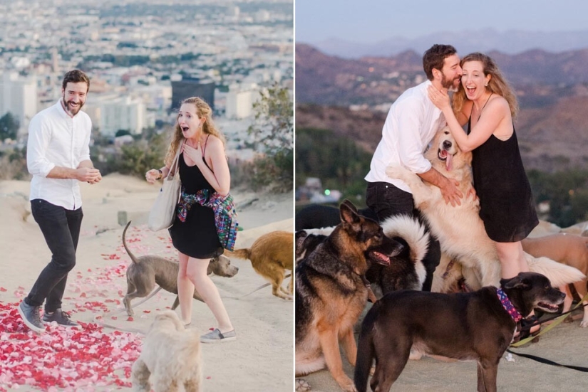 30 of the craziest and most creative marriage proposals