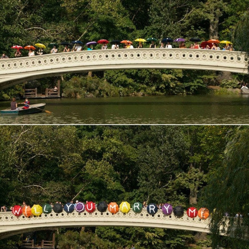 30 of the craziest and most creative marriage proposals