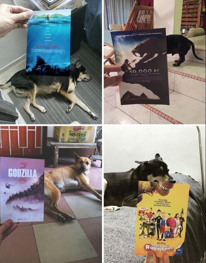 30 people who chose an unusual hobby and carried away no joke 30 people who chose an unusual hobby and carried away no joke