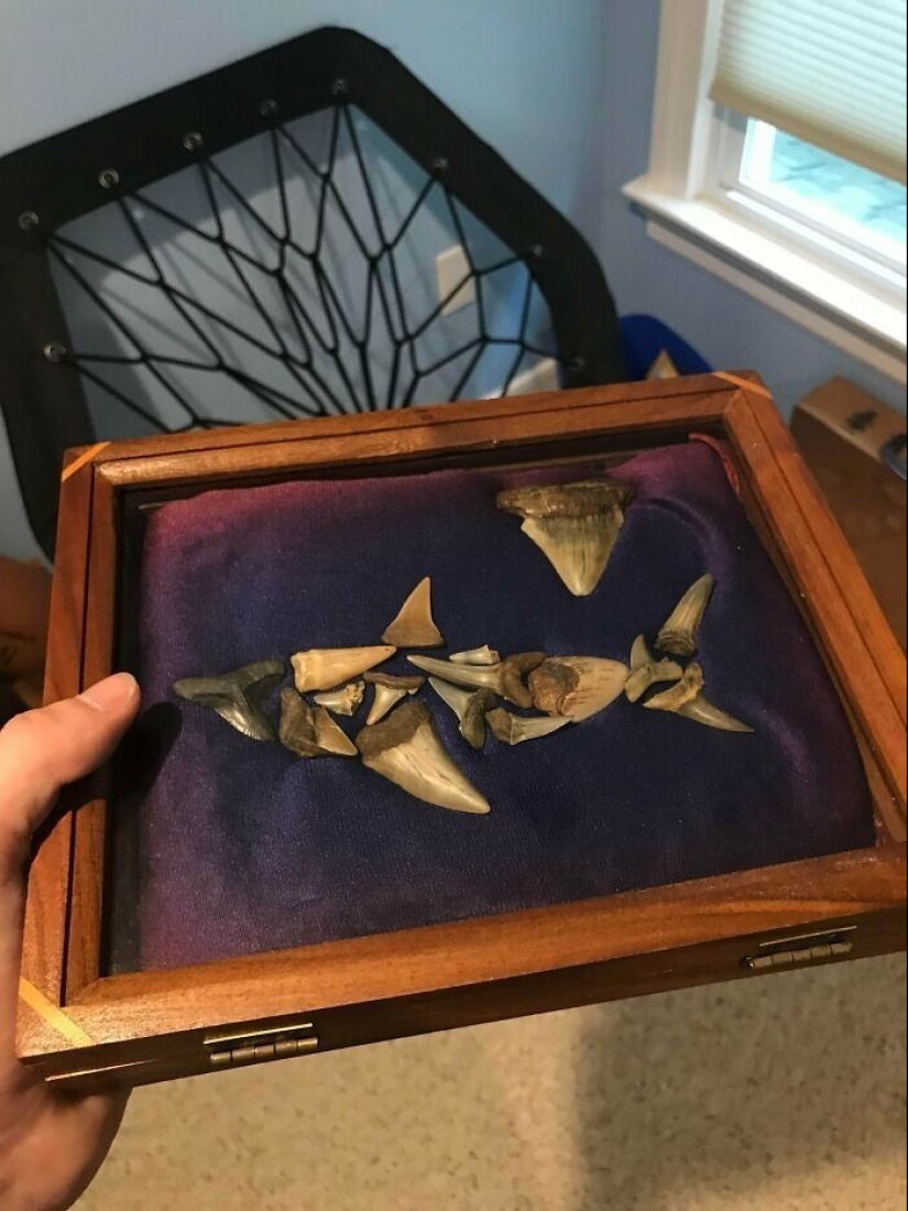 30 people who chose an unusual hobby and carried away no joke 30 people who chose an unusual hobby and carried away no joke