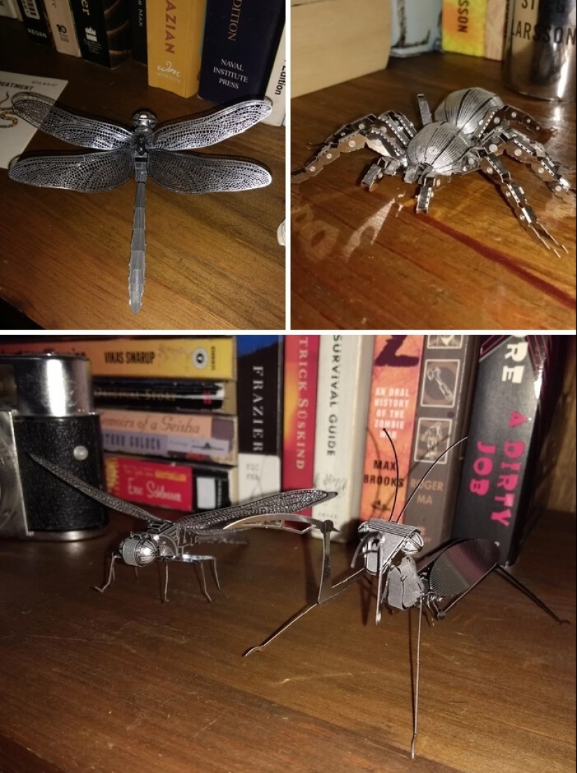 30 people who chose an unusual hobby and carried away no joke 30 people who chose an unusual hobby and carried away no joke