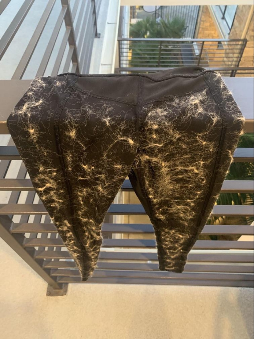 30 people who have had such a bad day that he is unlikely to get any worse 30 people who have had such a bad day that he is unlikely to get any worse