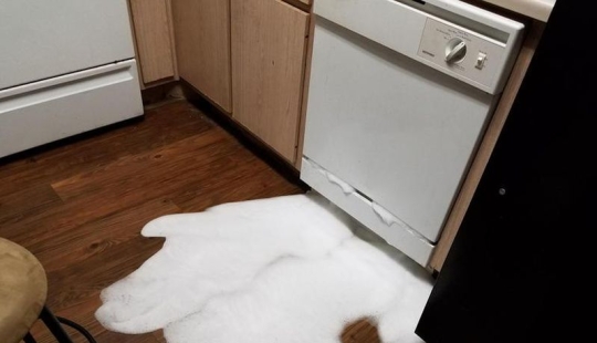 30 people who have had such a bad day that he is unlikely to get any worse 30 people who have had such a bad day that he is unlikely to get any worse