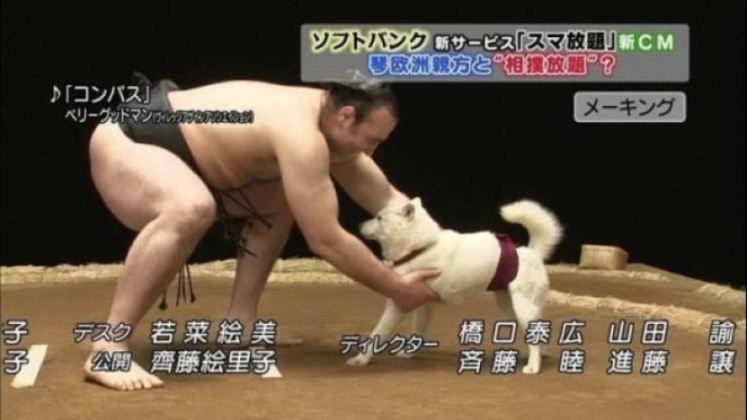 30 people whose behavior cannot be explained logically 30 people whose behavior cannot be explained logically