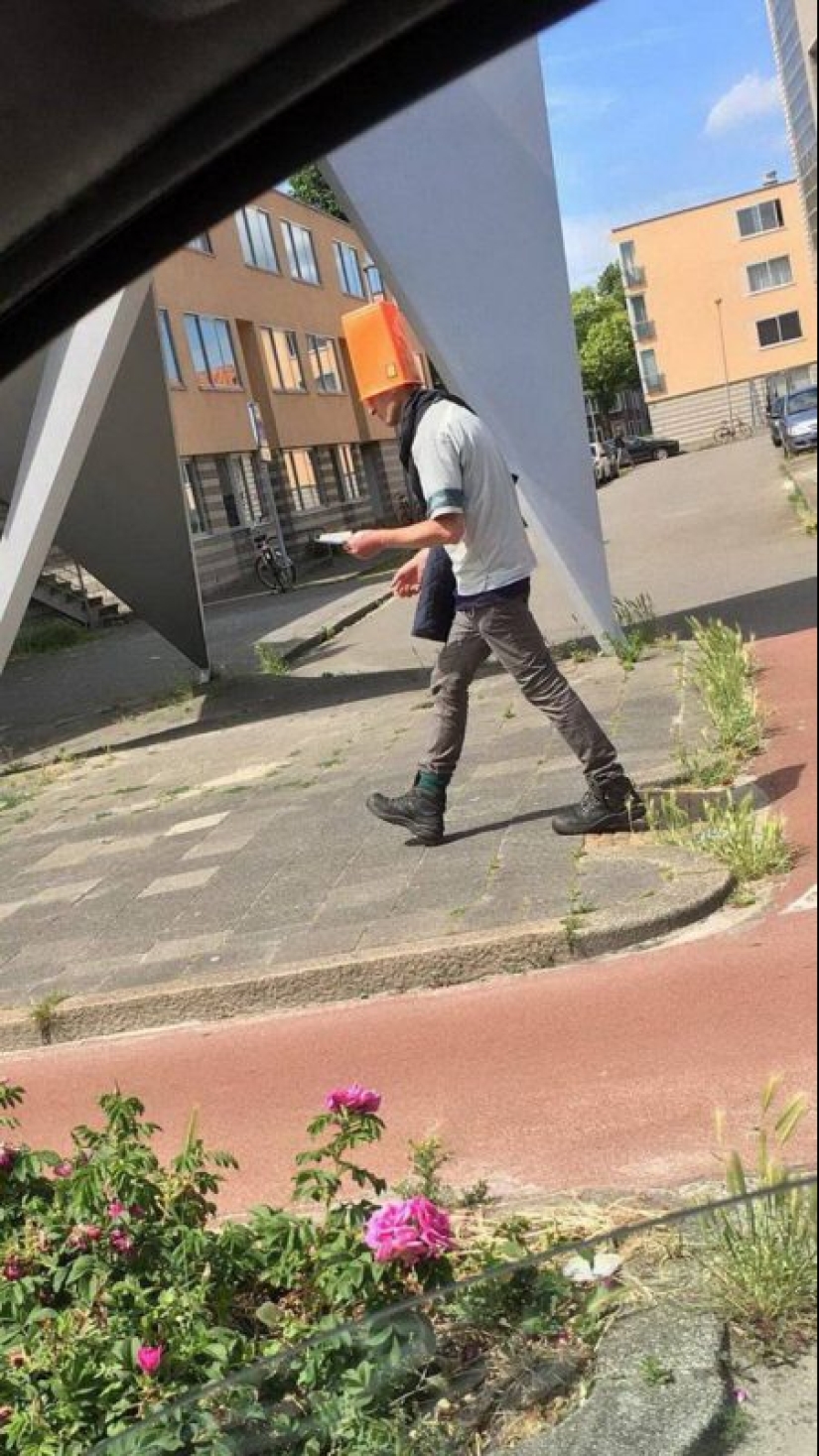 30 people whose behavior cannot be explained logically 30 people whose behavior cannot be explained logically