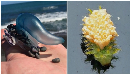 30 perplexed people who found the answer to their question on the Internet