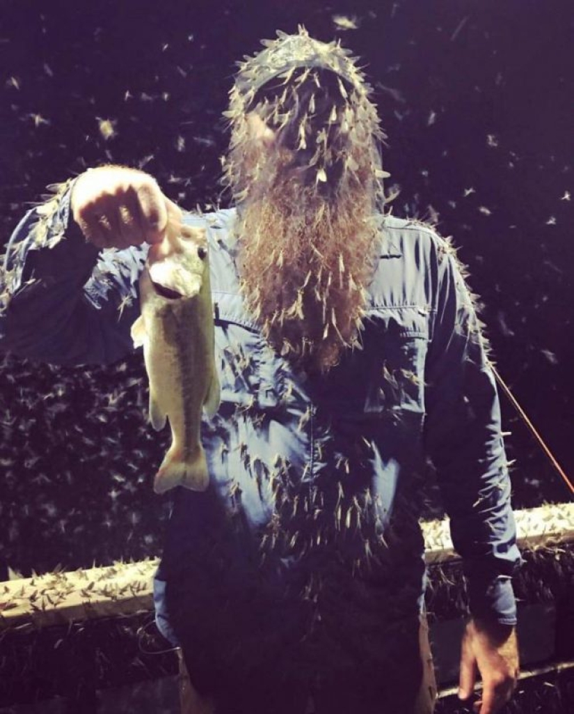 30 personas cuyo comportamiento no se puede explicar lógicamente 30 personas cuyo comportamiento no se puede explicar lógicamente