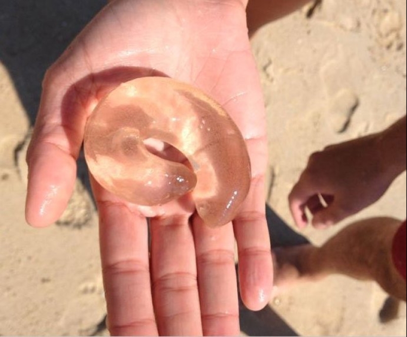 30 personas perplejas que encontraron la respuesta a su pregunta en Internet