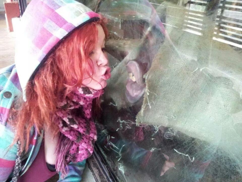 30 personas que encontraron amigos en el zoológico 30 personas que encontraron amigos en el zoológico