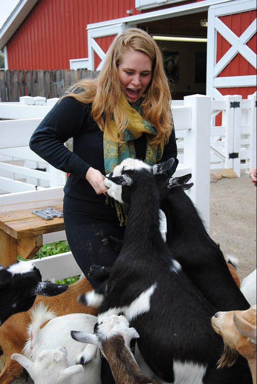 30 personas que encontraron amigos en el zoológico 30 personas que encontraron amigos en el zoológico