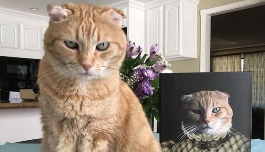 30 Pets with their portraits in the style of bygone eras 30 Pets with their portraits in the style of bygone eras