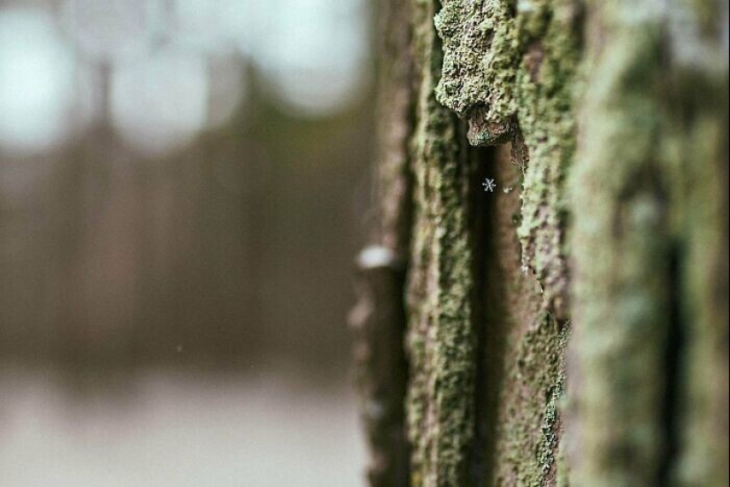 30 photos from the series "Amazing" 30 photos from the series "Amazing"