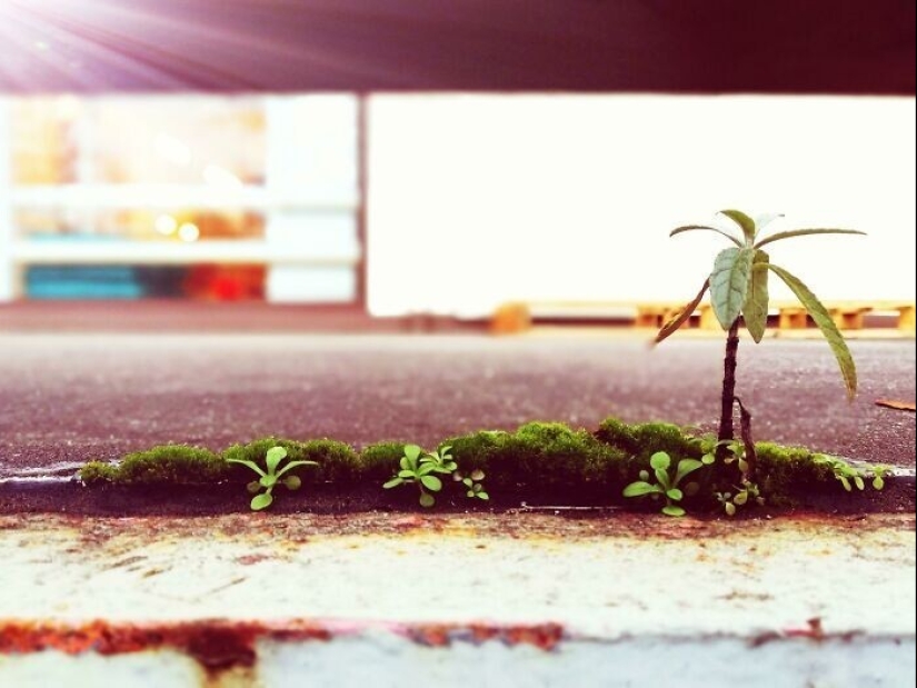 30 photos from the series "Amazing" 30 photos from the series "Amazing"