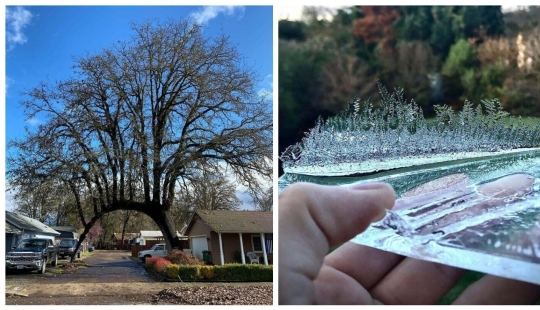 30 photos from the series "Amazing" 30 photos from the series "Amazing"