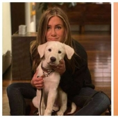 30 photos of celebrities with dogs
