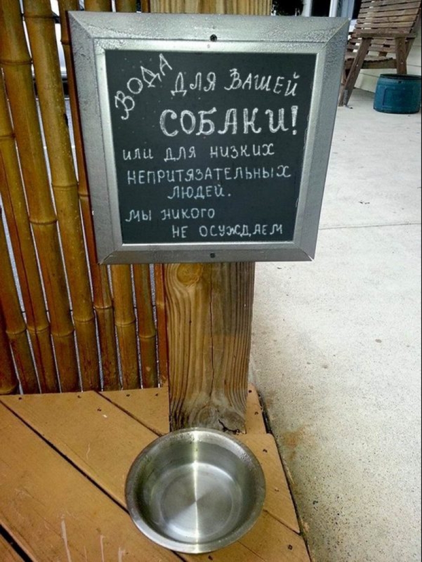 30 strange photos that could only have been taken in Russia 30 strange photos that could only have been taken in Russia