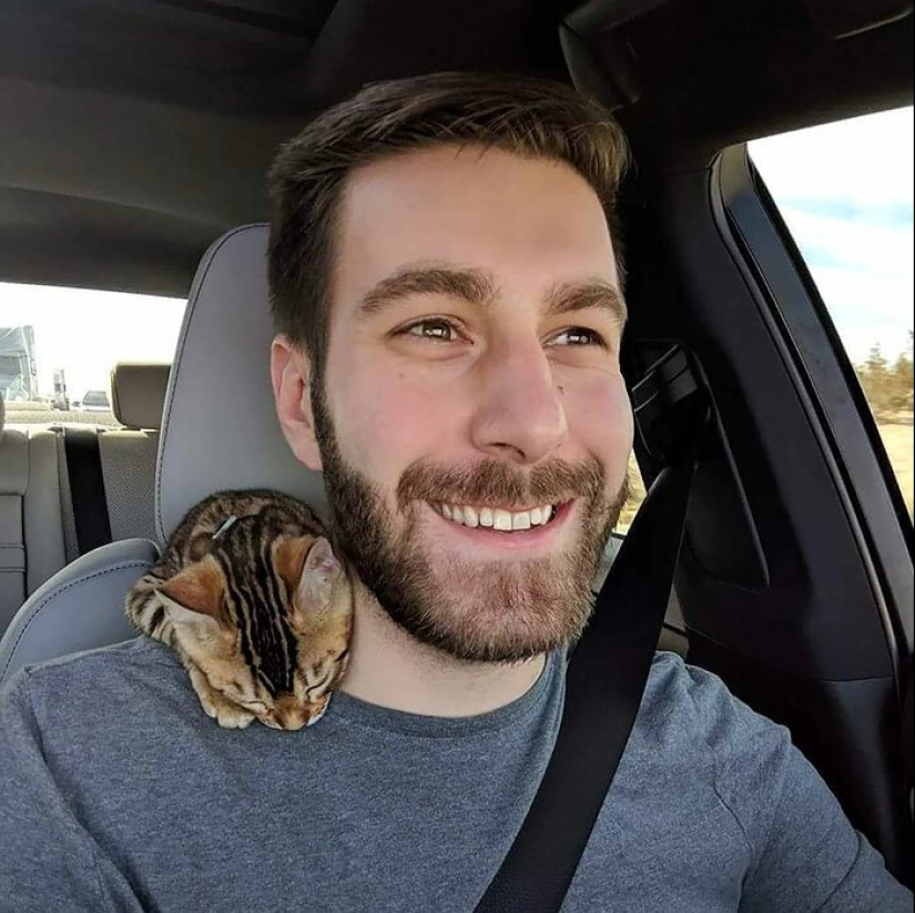 30 tocar las fotos de los hombres y los gatos 30 tocar las fotos de los hombres y los gatos