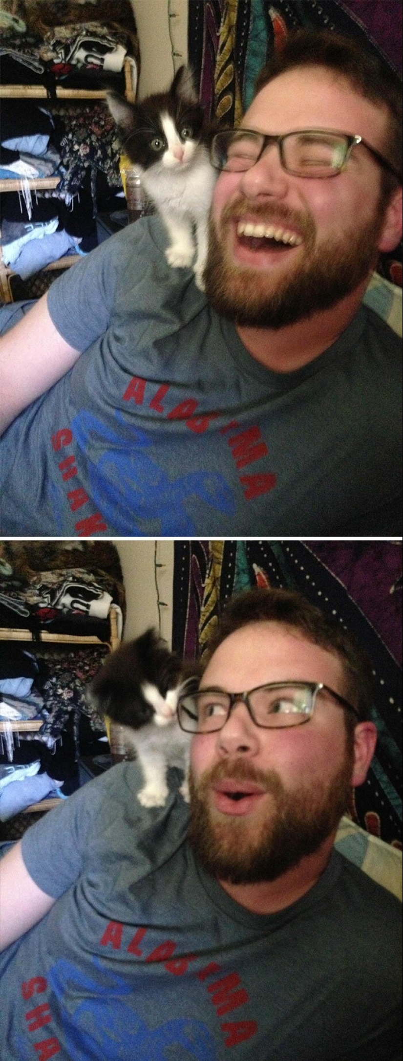 30 tocar las fotos de los hombres y los gatos 30 tocar las fotos de los hombres y los gatos