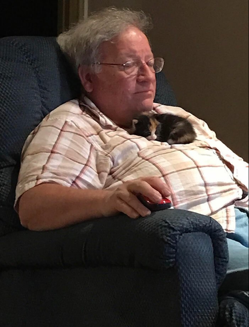 30 tocar las fotos de los hombres y los gatos 30 tocar las fotos de los hombres y los gatos