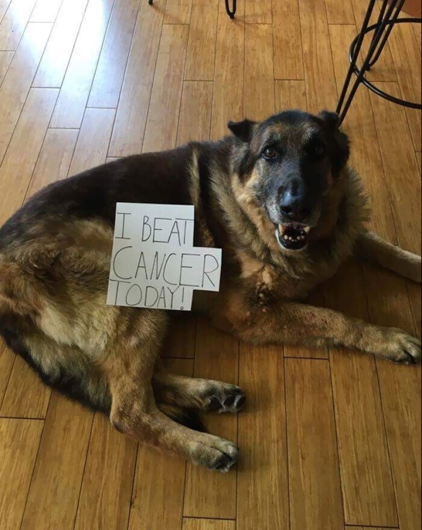 30 touching photo stories that will definitely restore your faith in humanity 30 touching photo stories that will definitely restore your faith in humanity