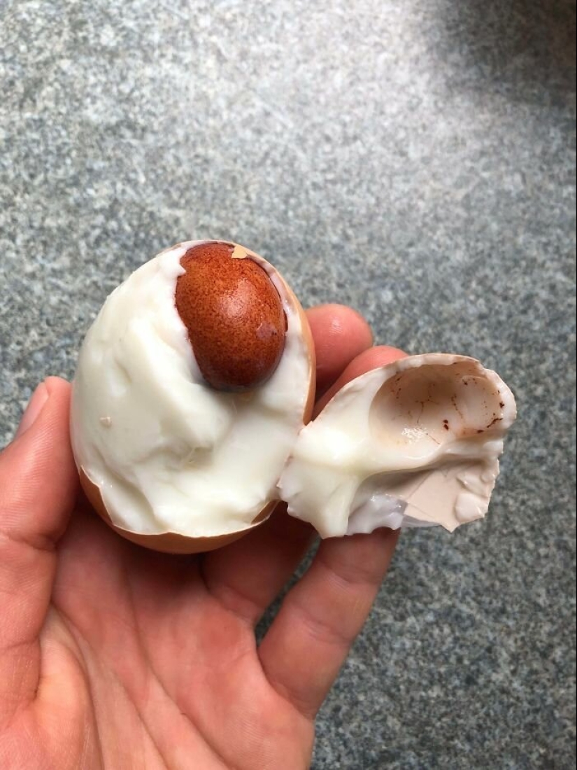 30 unexpected finds inside a disassembled or broken things