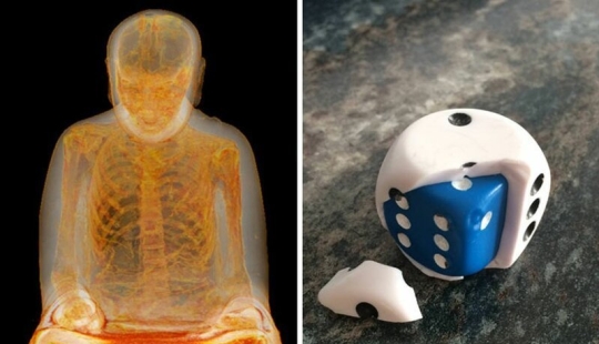 30 unexpected finds inside a disassembled or broken things