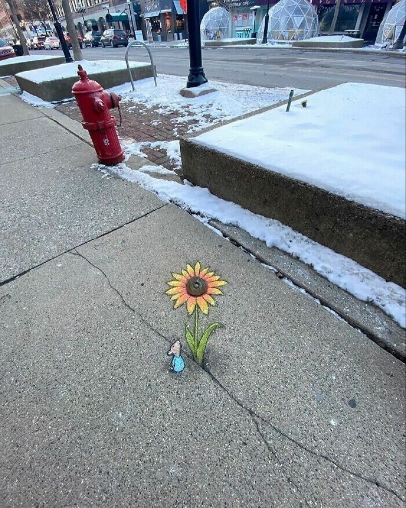 30 unknown animals in the city streets from the artist David Sinn 30 unknown animals in the city streets from the artist David Sinn