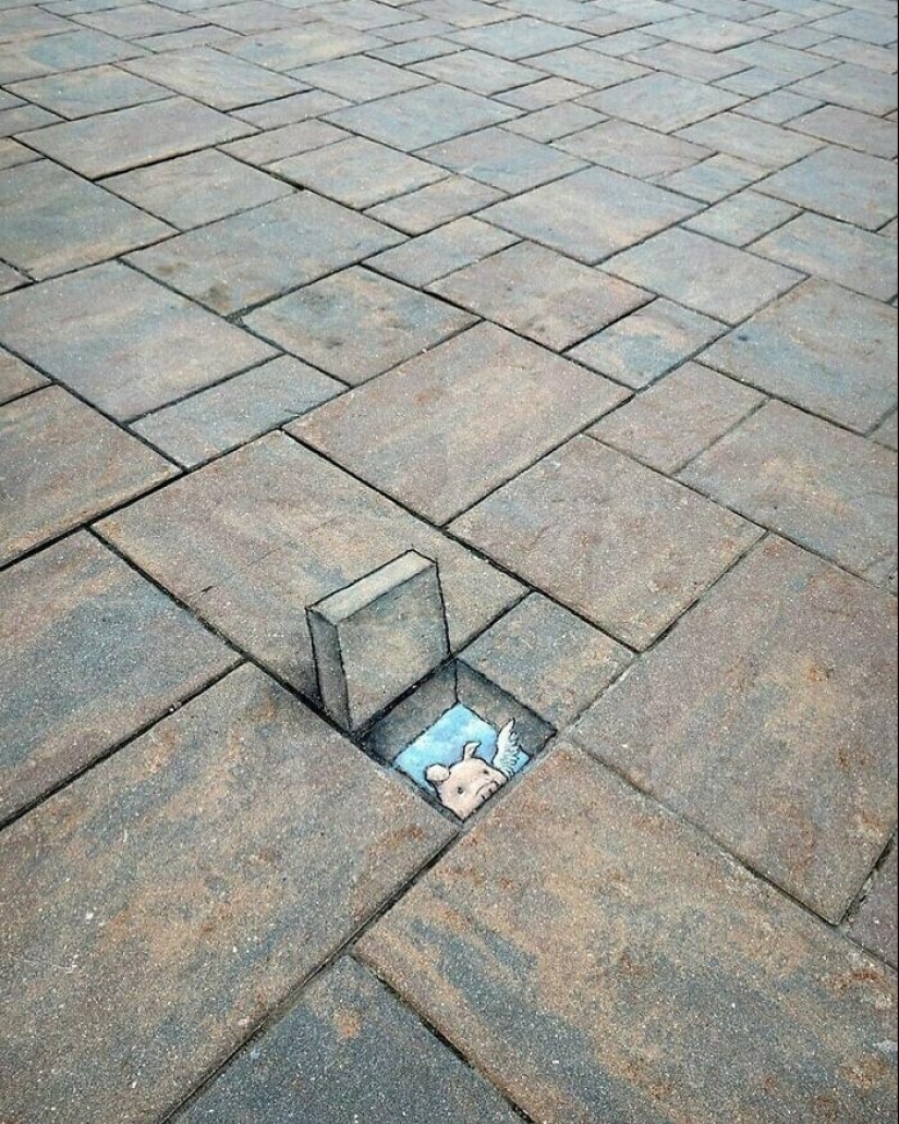 30 unknown animals in the city streets from the artist David Sinn 30 unknown animals in the city streets from the artist David Sinn