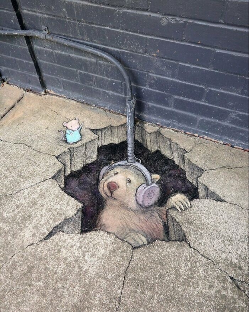 30 unknown animals in the city streets from the artist David Sinn 30 unknown animals in the city streets from the artist David Sinn