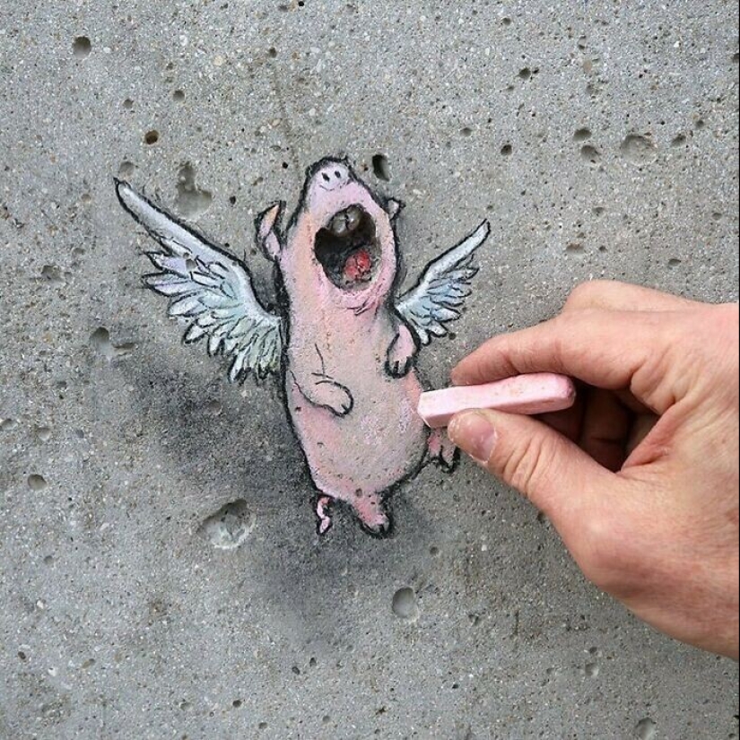 30 unknown animals in the city streets from the artist David Sinn 30 unknown animals in the city streets from the artist David Sinn