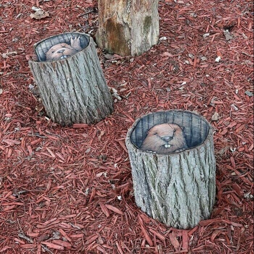 30 unknown animals in the city streets from the artist David Sinn 30 unknown animals in the city streets from the artist David Sinn