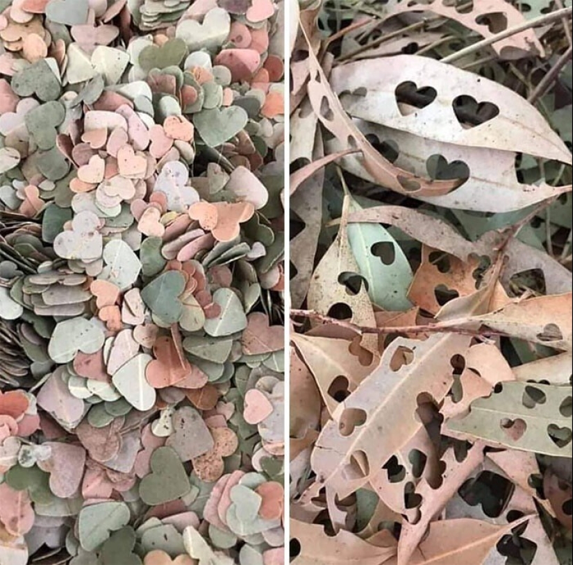 30 ways to save money and at the same time protect the environment