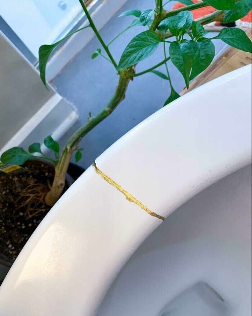 30 ways to save money and at the same time protect the environment