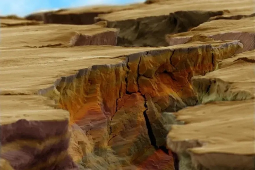 32 micrographs that will change your idea of the world