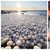 33 cosas raras y sorprendentes que vale la pena ver al menos en la foto 33 cosas raras y sorprendentes que vale la pena ver al menos en la foto
