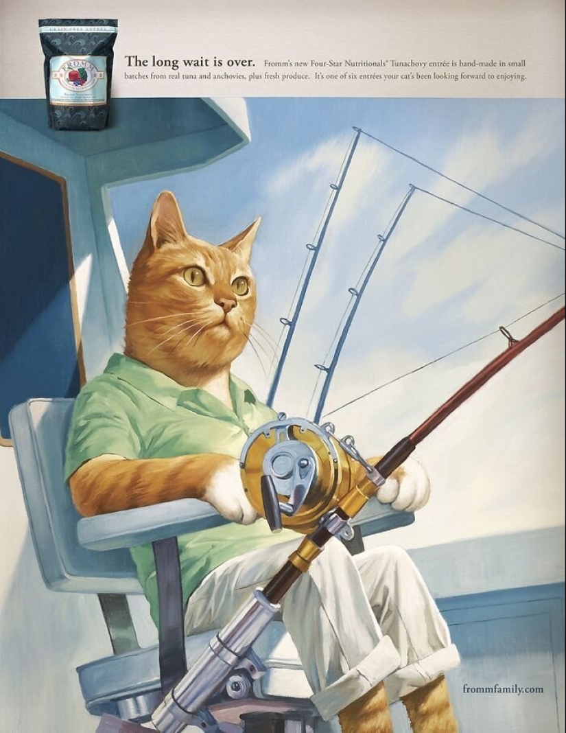 33 ejemplos de los anuncios de gatos más creativos y divertidos