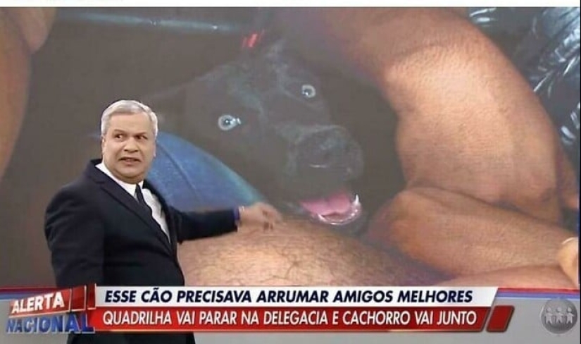 33 fotos de Brasil, un país maravilloso, donde hay un montón de monos 33 fotos de Brasil, un país maravilloso, donde hay un montón de monos