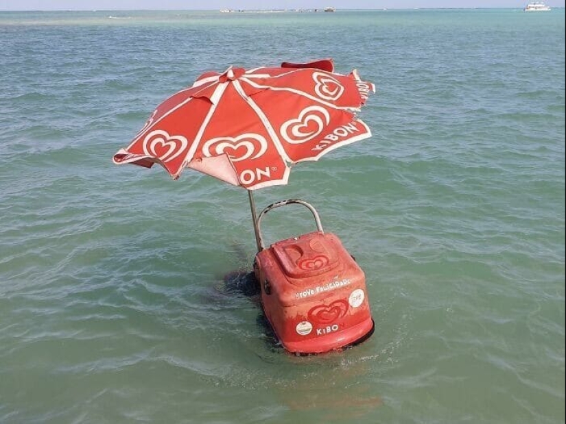 33 fotos de Brasil, un país maravilloso, donde hay un montón de monos 33 fotos de Brasil, un país maravilloso, donde hay un montón de monos