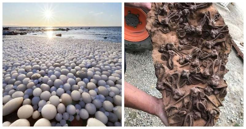 33 rare and amazing things that are worth seeing at least in the photo