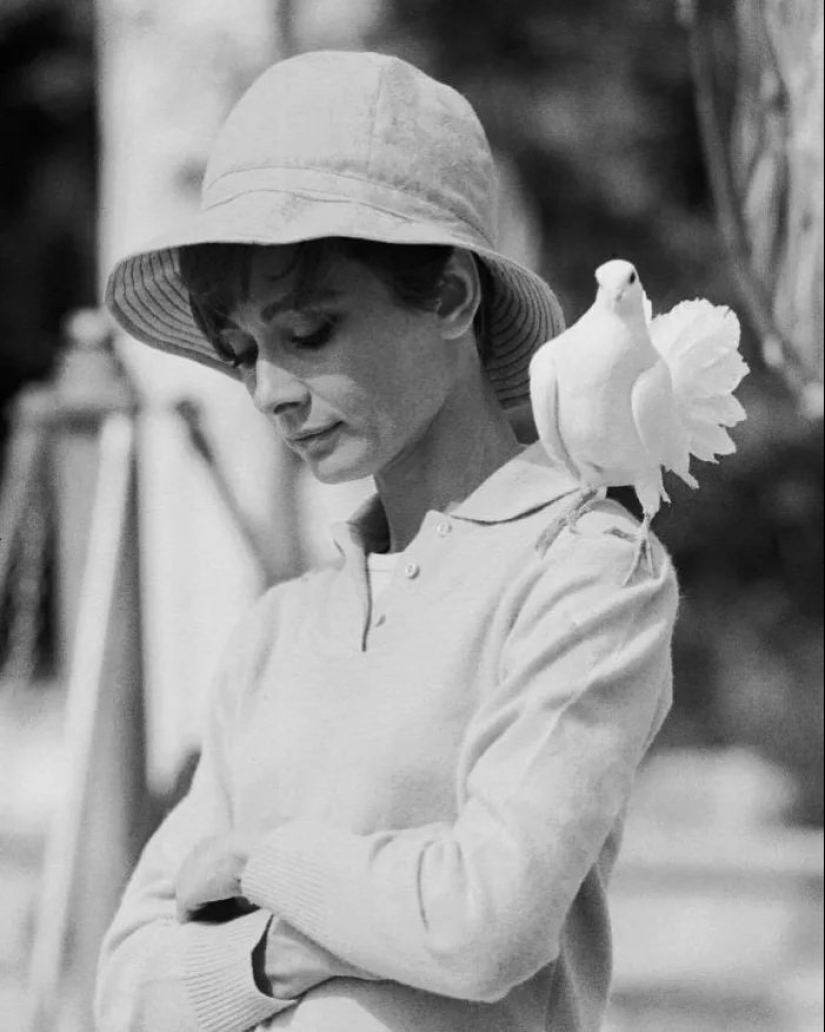 33 rare behind the scenes photos of the legendary personalities from the greatest music photographers 33 rare behind the scenes photos of the legendary personalities from the greatest music photographers