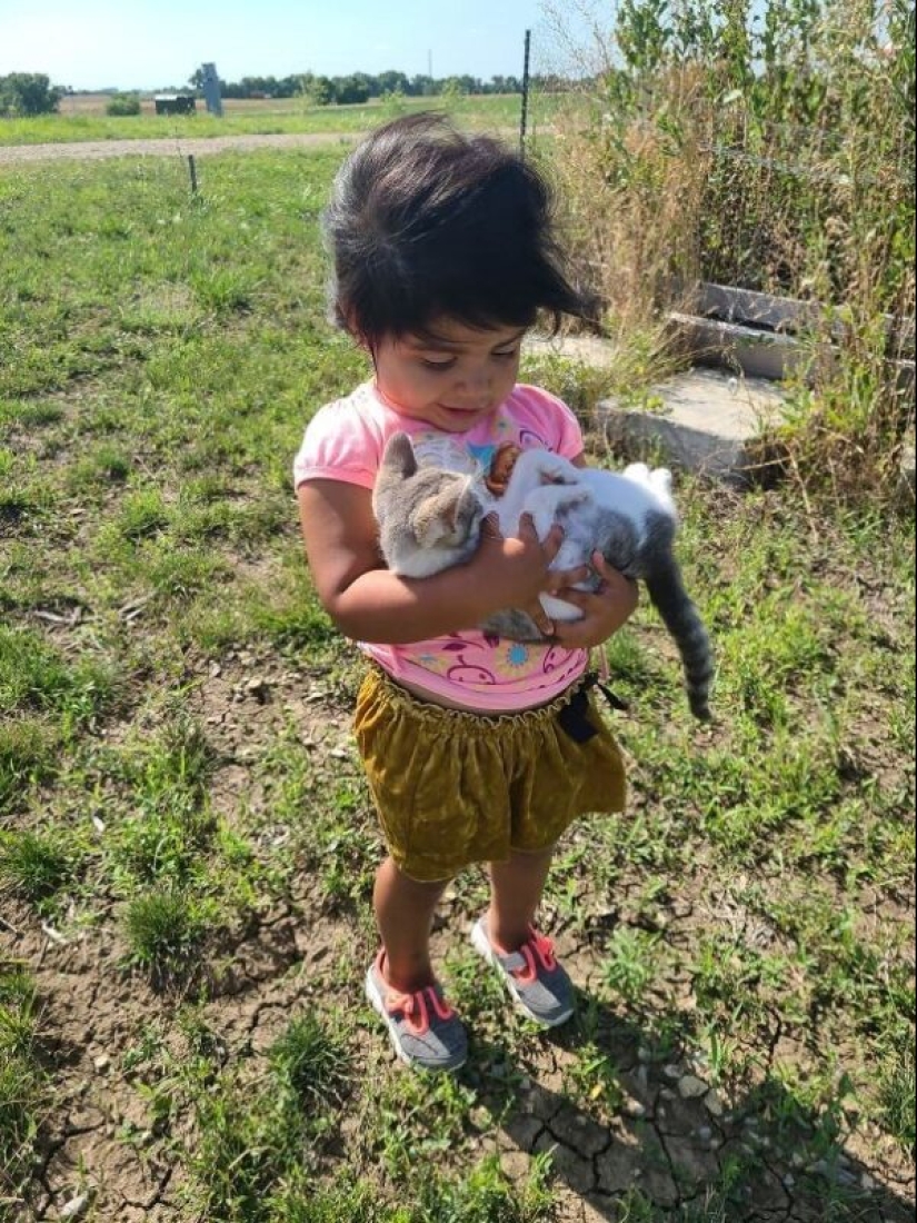 35 animales de refugios que tuvieron mucha suerte de conocer a" su " persona 35 animales de refugios que tuvieron mucha suerte de conocer a" su " persona