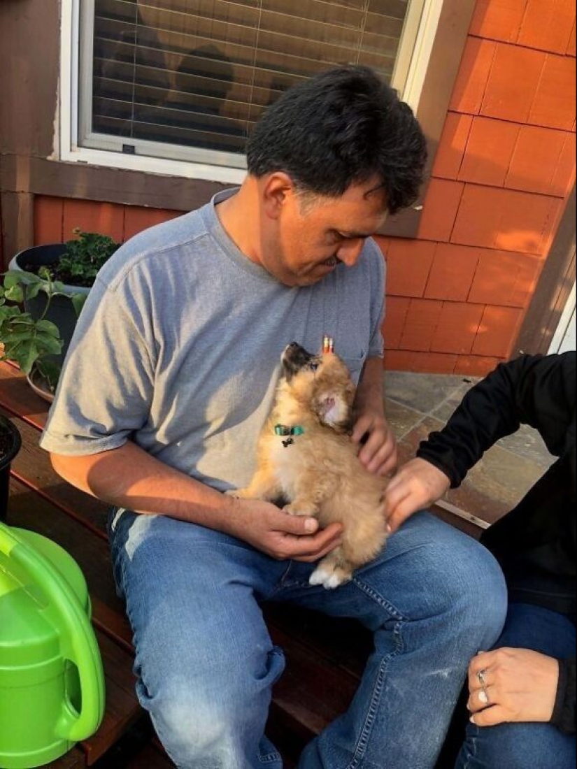 35 animales de refugios que tuvieron mucha suerte de conocer a" su " persona 35 animales de refugios que tuvieron mucha suerte de conocer a" su " persona