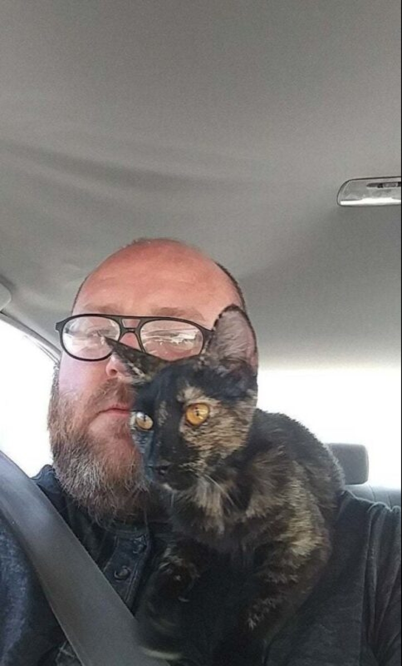 35 animales de refugios que tuvieron mucha suerte de conocer a" su " persona 35 animales de refugios que tuvieron mucha suerte de conocer a" su " persona