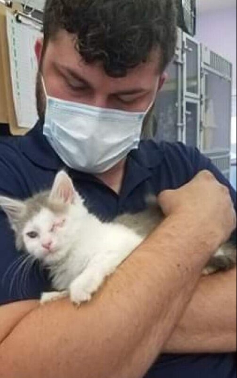 35 animales de refugios que tuvieron mucha suerte de conocer a" su " persona 35 animales de refugios que tuvieron mucha suerte de conocer a" su " persona